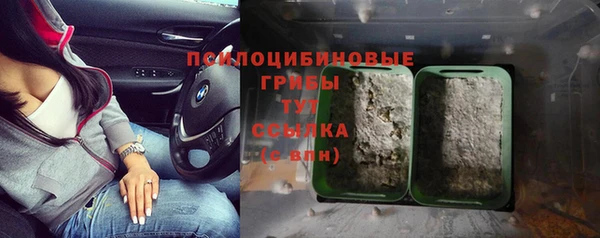 марки nbome Аркадак