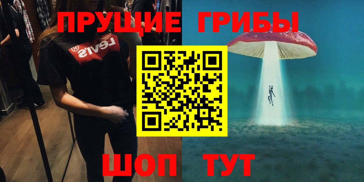 Псилоцибиновые грибы мицелий Вязники